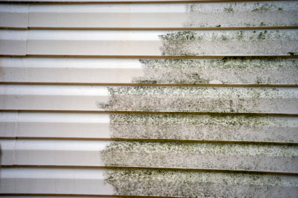Best Siding Painting and Refinishing  in North Middletown, NJ